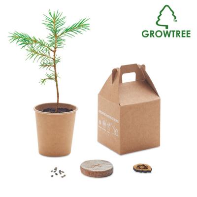 Image of Growtree™ Pine Tree Set