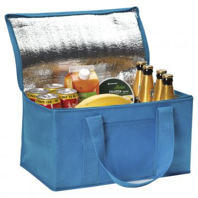 Image of Rainham 12 Can Cooler Bag